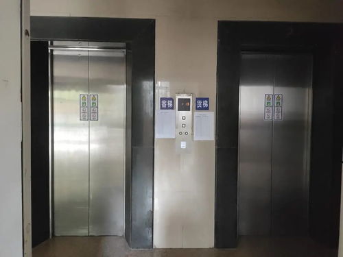 教育省心 軌交便捷 塘橋板塊東方匯景苑中等戶(hù)型電梯房深度測(cè)評(píng)