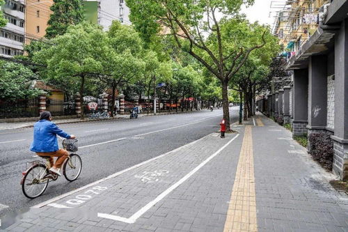 虹口區(qū)四條道路榮膺2019年度上海市精品示范路稱號(hào)